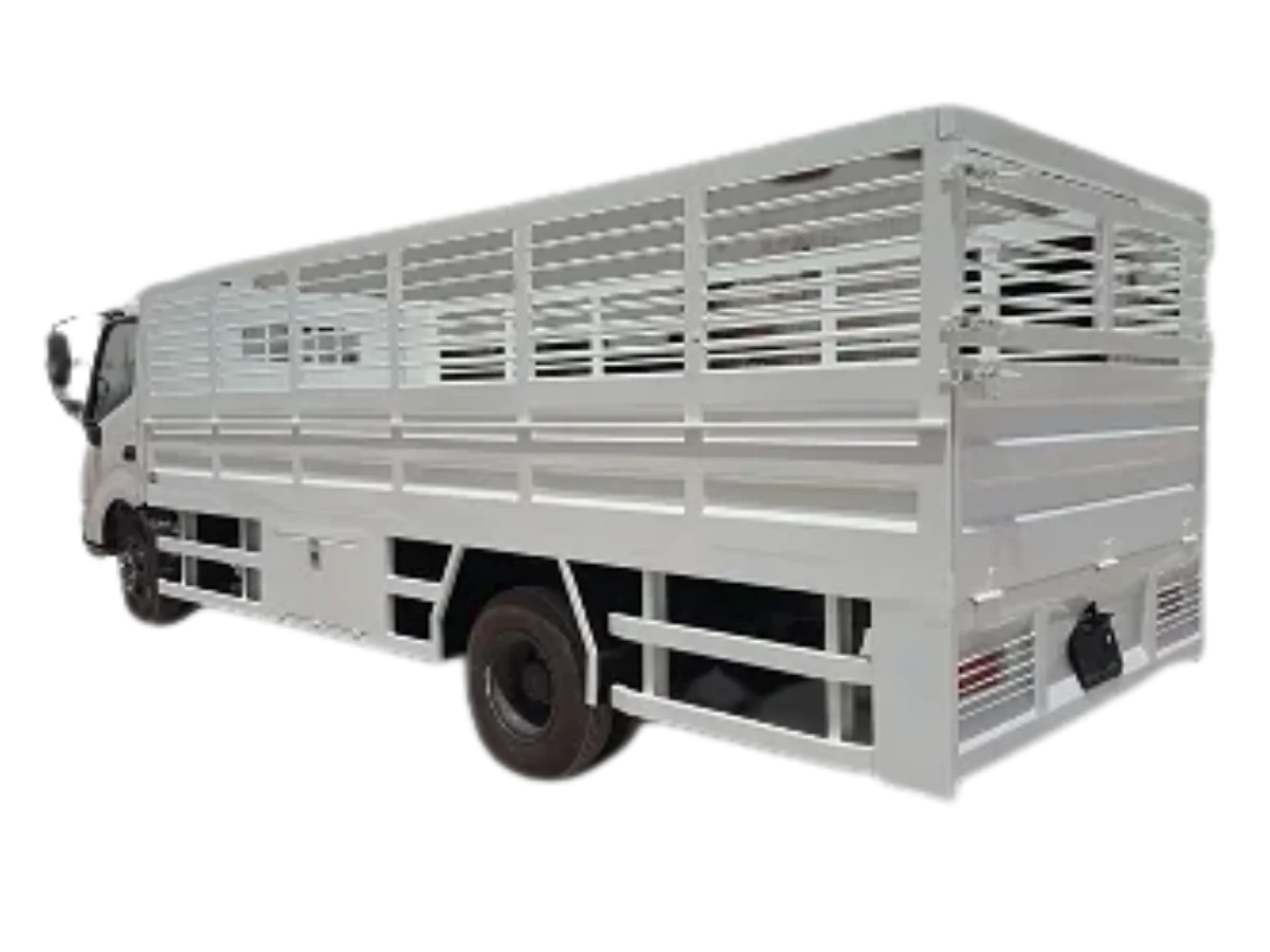 Dyna 6 Meter